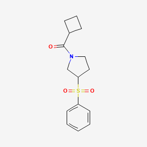Cyclobutyl(3-(phenylsulfonyl)pyrrolidin-1-yl)methanone