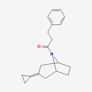 molecular formula C19H23NO B2495071 1-{3-Cyclopropylidene-8-azabicyclo[3.2.1]octan-8-yl}-3-phenylpropan-1-one CAS No. 2195941-38-7