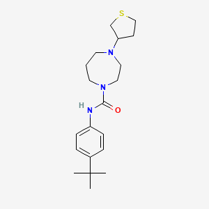 molecular formula C20H31N3OS B2495099 N-(4-tert-butylphenyl)-4-(thiolan-3-yl)-1,4-diazepane-1-carboxamide CAS No. 2320456-74-2