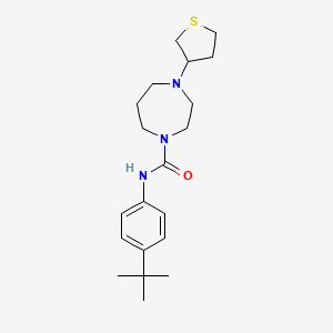 N-(4-(tert-butyl)phenyl)-4-(tetrahydrothiophen-3-yl)-1,4-diazepane-1-carboxamide