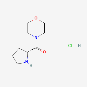 molecular formula C9H17ClN2O2 B2495248 Morpholin-4-yl-[(2R)-pyrrolidin-2-yl]methanone;hydrochloride CAS No. 2309431-66-9