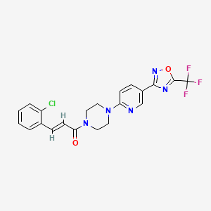 (E)-3-(2-chlorophenyl)-1-(4-(5-(5-(trifluoromethyl)-1,2,4-oxadiazol-3-yl)pyridin-2-yl)piperazin-1-yl)prop-2-en-1-one