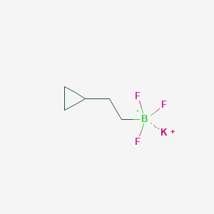 molecular formula C5H9BF3K B2496379 Potassium (2-cyclopropylethyl)trifluoroboranuide CAS No. 1445848-01-0