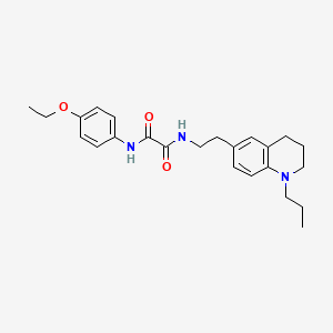 molecular formula C24H31N3O3 B2498653 N'-(4-ethoxyphenyl)-N-[2-(1-propyl-1,2,3,4-tetrahydroquinolin-6-yl)ethyl]ethanediamide CAS No. 955793-12-1