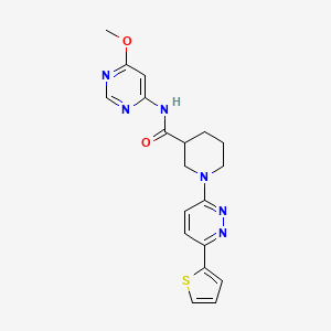 N-(6-methoxypyrimidin-4-yl)-1-(6-(thiophen-2-yl)pyridazin-3-yl)piperidine-3-carboxamide