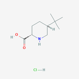 (2S,5S)-5-Tert-butylpiperidine-2-carboxylic acid;hydrochloride