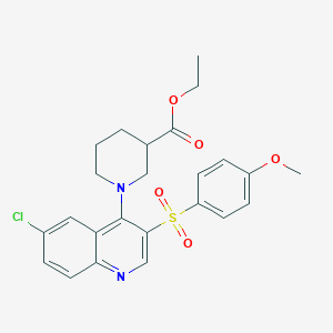 molecular formula C24H25ClN2O5S B2503956 ETHYL 1-[6-CHLORO-3-(4-METHOXYBENZENESULFONYL)QUINOLIN-4-YL]PIPERIDINE-3-CARBOXYLATE CAS No. 867040-35-5