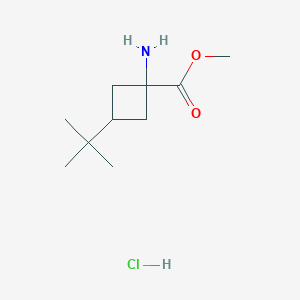 Methyl 1-amino-3-tert-butylcyclobutane-1-carboxylate;hydrochloride