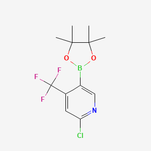 molecular formula C12H14BClF3NO2 B2505421 2-Chloro-4-(trifluoromethyl)pyridine-5-boronic acid pinacol ester CAS No. 2377611-69-1