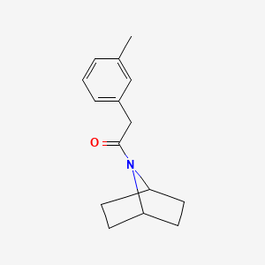 molecular formula C15H19NO B2505800 1-{7-Azabicyclo[2.2.1]heptan-7-yl}-2-(3-methylphenyl)ethan-1-one CAS No. 2320524-36-3