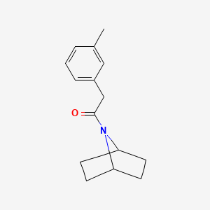 molecular formula C15H19NO B2505800 1-((1s,4s)-7-Azabicyclo[2.2.1]heptan-7-yl)-2-(m-tolyl)ethan-1-one CAS No. 2320524-36-3