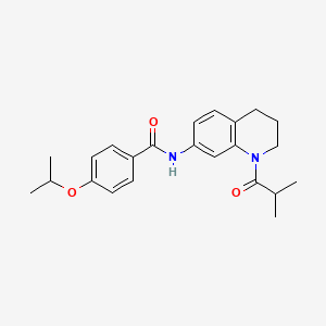 molecular formula C23H28N2O3 B2505884 N-[1-(2-methylpropanoyl)-1,2,3,4-tetrahydroquinolin-7-yl]-4-(propan-2-yloxy)benzamide CAS No. 1005301-18-7