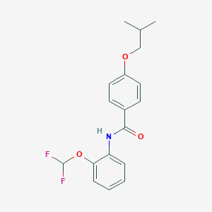 molecular formula C18H19F2NO3 B250744 N-[2-(difluoromethoxy)phenyl]-4-isobutoxybenzamide 