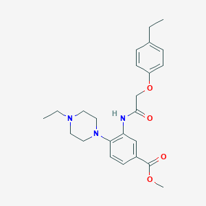 molecular formula C24H31N3O4 B250827 METHYL 3-[2-(4-ETHYLPHENOXY)ACETAMIDO]-4-(4-ETHYLPIPERAZIN-1-YL)BENZOATE 