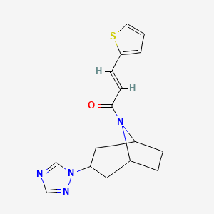 (E)-1-((1R,5S)-3-(1H-1,2,4-triazol-1-yl)-8-azabicyclo[3.2.1]octan-8-yl)-3-(thiophen-2-yl)prop-2-en-1-one