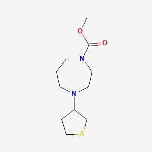 molecular formula C11H20N2O2S B2511561 Methyl 4-(thiolan-3-yl)-1,4-diazepane-1-carboxylate CAS No. 2310124-59-3