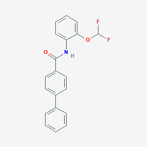 molecular formula C20H15F2NO2 B251356 N-[2-(difluoromethoxy)phenyl][1,1'-biphenyl]-4-carboxamide 