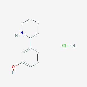 3-(Piperidin-2-yl)phenol hydrochloride