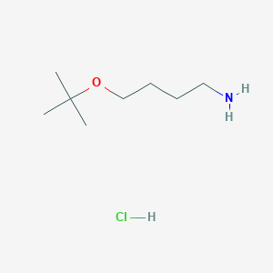 molecular formula C8H20ClNO B2514532 4-(Tert-butoxy)butan-1-amine hydrochloride CAS No. 2305252-57-5