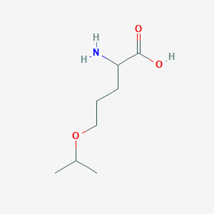 2-Amino-5-propan-2-yloxypentanoic acid