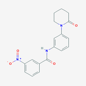 3-nitro-N-(3-(2-oxopiperidin-1-yl)phenyl)benzamide