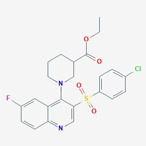 molecular formula C23H22ClFN2O4S B2518013 ETHYL 1-[3-(4-CHLOROBENZENESULFONYL)-6-FLUOROQUINOLIN-4-YL]PIPERIDINE-3-CARBOXYLATE CAS No. 866871-47-8
