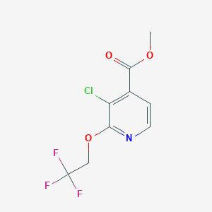 molecular formula C9H7ClF3NO3 B2518279 Methyl 3-chloro-2-(2,2,2-trifluoroethoxy)isonicotinate CAS No. 2247849-77-8