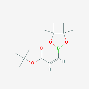 Tert-butyl (Z)-3-(4,4,5,5-tetramethyl-1,3,2-dioxaborolan-2-yl)prop-2-enoate