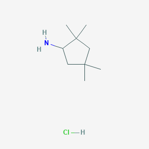 molecular formula C9H20ClN B2525247 2,2,4,4-Tetramethylcyclopentanamine hydrochloride CAS No. 1092287-89-2; 1523618-17-8