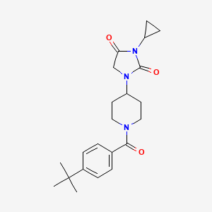 1-[1-(4-Tert-butylbenzoyl)piperidin-4-yl]-3-cyclopropylimidazolidine-2,4-dione