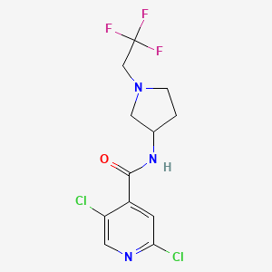 2,5-dichloro-N-[1-(2,2,2-trifluoroethyl)pyrrolidin-3-yl]pyridine-4-carboxamide