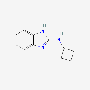 N-cyclobutyl-1H-1,3-benzodiazol-2-amine