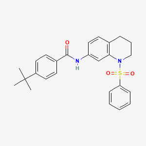 4-tert-butyl-N-[1-(phenylsulfonyl)-1,2,3,4-tetrahydroquinolin-7-yl]benzamide