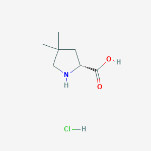 molecular formula C7H14ClNO2 B2532781 4,4-Dimethyl-D-proline HCl CAS No. 2306255-31-0