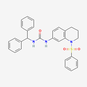 molecular formula C29H27N3O3S B2533653 1-Benzhydryl-3-(1-(phenylsulfonyl)-1,2,3,4-tetrahydroquinolin-7-yl)urea CAS No. 1203334-74-0