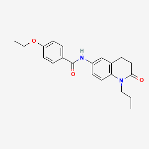 4-ethoxy-N-(2-oxo-1-propyl-1,2,3,4-tetrahydroquinolin-6-yl)benzamide