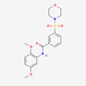 molecular formula C19H22N2O6S B2533847 N-(2,5-dimethoxyphenyl)-3-morpholin-4-ylsulfonylbenzamide CAS No. 953852-15-8