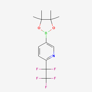 2-(1,1,2,2,2-Pentafluoroethyl)-5-(4,4,5,5-tetramethyl-1,3,2-dioxaborolan-2-yl)pyridine