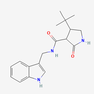 4-tert-butyl-N-[(1H-indol-3-yl)methyl]-2-oxopyrrolidine-3-carboxamide
