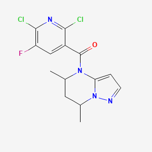 2,6-dichloro-3-{5,7-dimethyl-4H,5H,6H,7H-pyrazolo[1,5-a]pyrimidine-4-carbonyl}-5-fluoropyridine