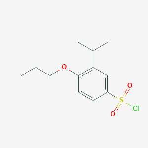 3-(Propan-2-yl)-4-propoxybenzene-1-sulfonyl chloride