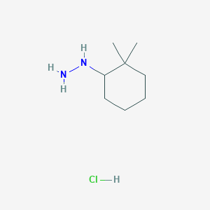 (2,2-Dimethylcyclohexyl)hydrazine hydrochloride