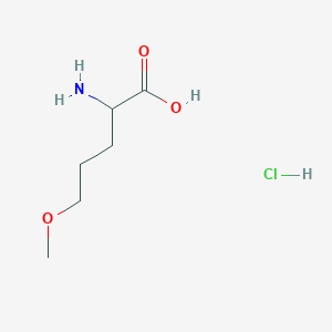 2-Amino-5-methoxypentanoic acid hydrochloride