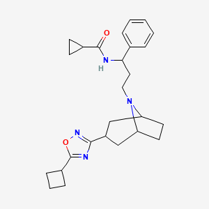 molecular formula C26H34N4O2 B2541601 N-(3-((1R,5S)-3-(5-cyclobutyl-1,2,4-oxadiazol-3-yl)-8-azabicyclo[3.2.1]octan-8-yl)-1-phenylpropyl)cyclopropanecarboxamide CAS No. 2108842-26-6