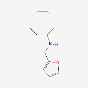 molecular formula C13H21NO B2545004 N-(furan-2-ylmethyl)cyclooctanamine CAS No. 765924-13-8