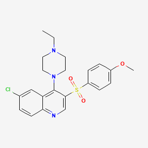 molecular formula C22H24ClN3O3S B2545600 6-Chloro-4-(4-ethylpiperazin-1-yl)-3-(4-methoxybenzenesulfonyl)quinoline CAS No. 867040-43-5