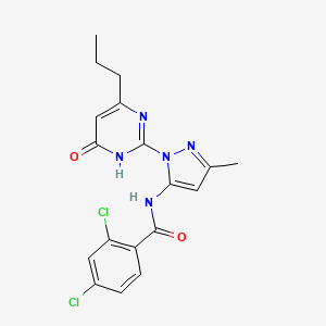 2,4-dichloro-N-[3-methyl-1-(6-oxo-4-propyl-1,6-dihydropyrimidin-2-yl)-1H-pyrazol-5-yl]benzamide
