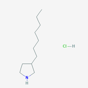 molecular formula C11H24ClN B2545839 3-Heptylpyrrolidine;hydrochloride CAS No. 2377033-18-4