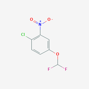 molecular formula C7H4ClF2NO3 B2547109 1-Chloro-4-(difluoromethoxy)-2-nitrobenzene CAS No. 200207-20-1