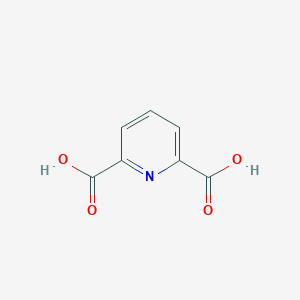 molecular formula C7H5NO4 B025484 2,6-Pyridinedicarboxylic acid CAS No. 499-83-2